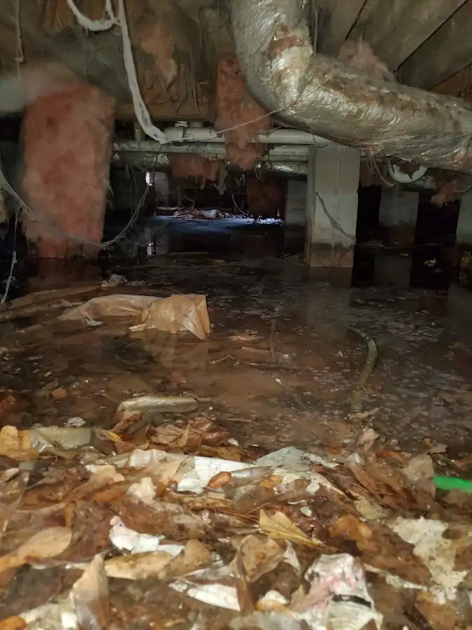 Crawl space flood assessment for Leak Detection & Repair in Brenham