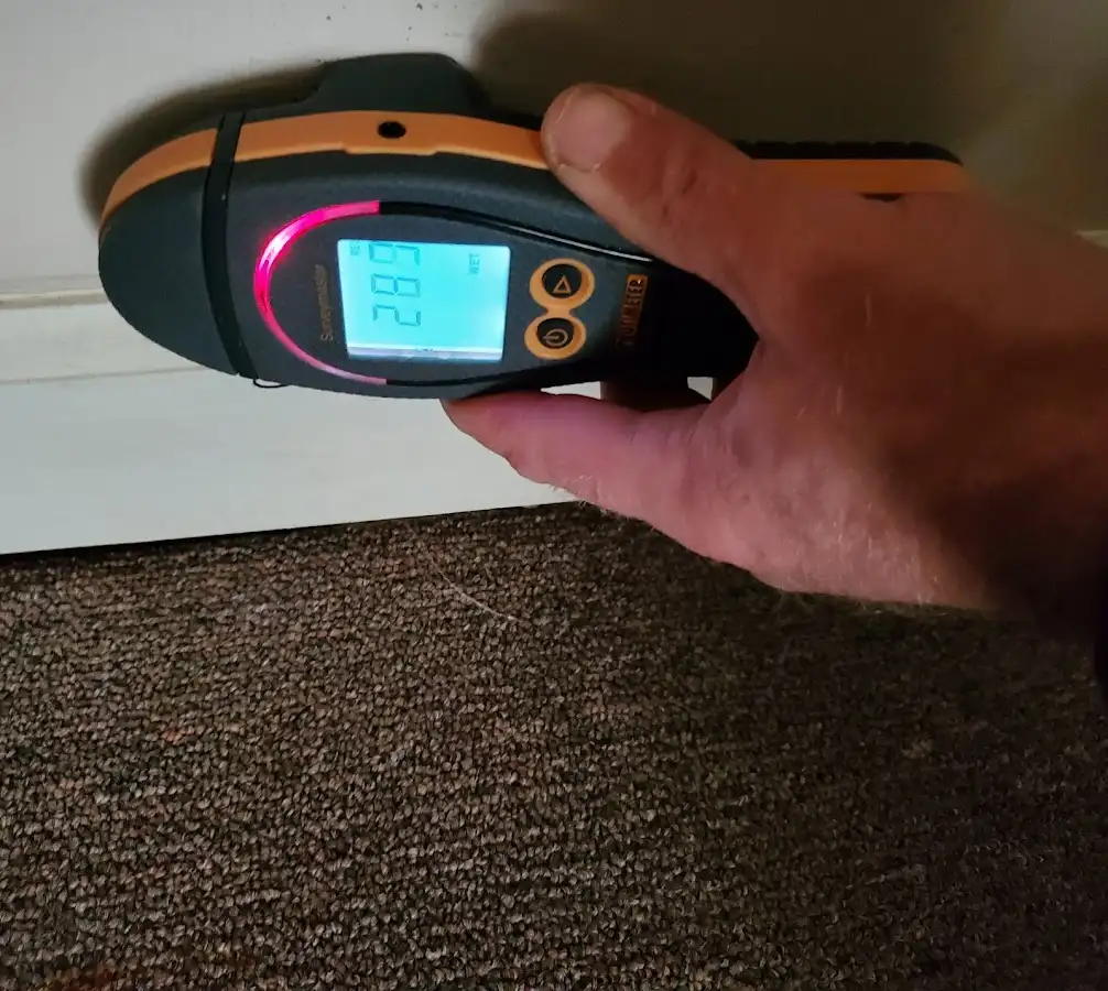 Moisture detection at baseboard during Mold Inspection & Testing in Brenham